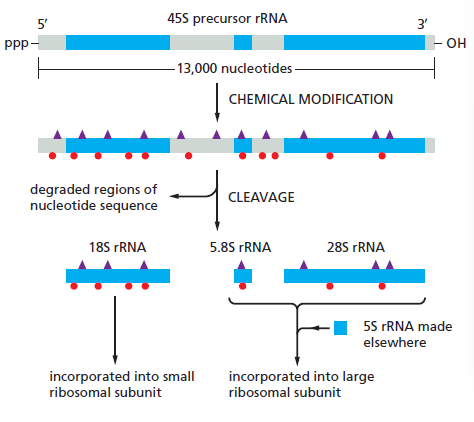 Figure 6-40.png